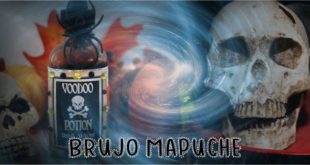 Brujo mapuche