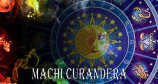 Machi curandera